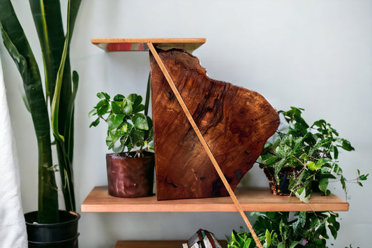 Live Edge Burl Shelf Sitter